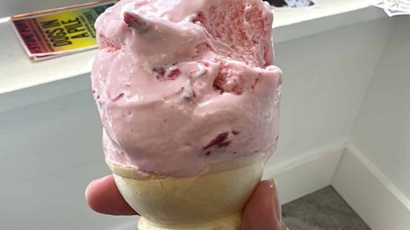 Bradley’s Beach Plum - Bradley Beach, NJ