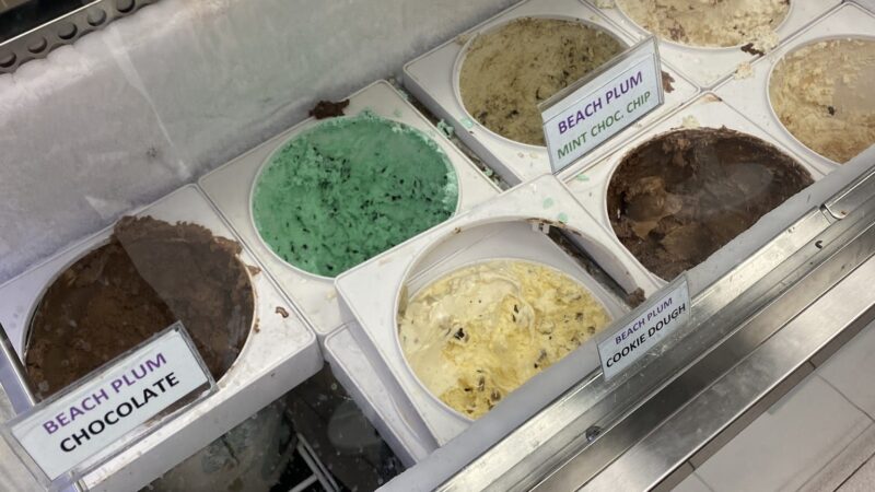 Bradley’s Beach Plum - Bradley Beach, NJ