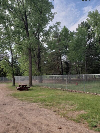 Buster Park- A Playground for Dogs - Brainerd, MN