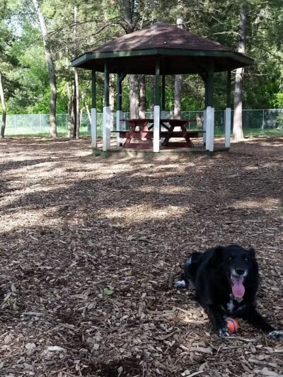 Buster Park- A Playground for Dogs - Brainerd, MN