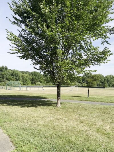 Branchburg Township White Oak Park - Branchburg, NJ