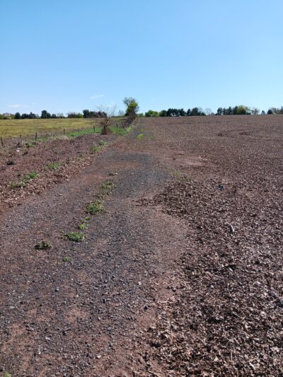 River Lea Farm Walking Trails - Branchburg, NJ
