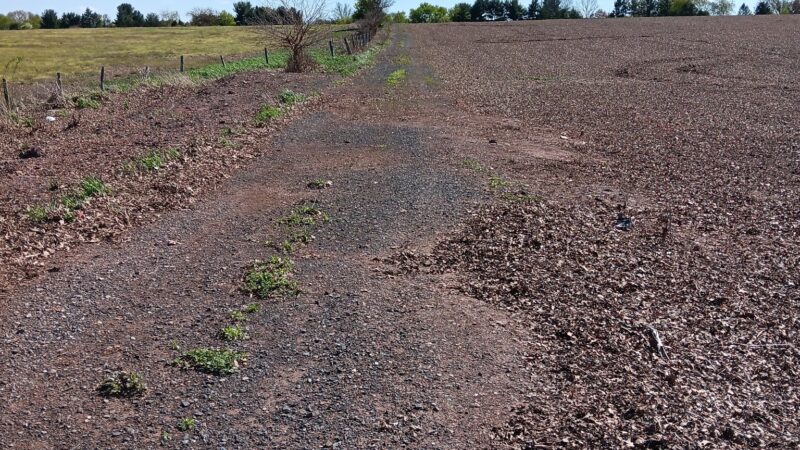 River Lea Farm Walking Trails - Branchburg, NJ