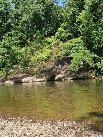South Branch River Trail - Branchburg, NJ