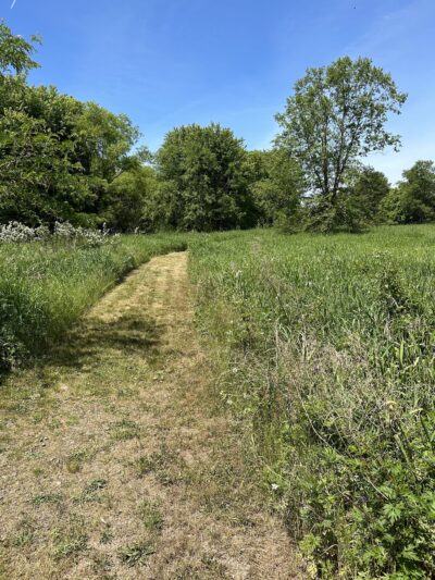 South Branch River Walk Trail - Branchburg, NJ