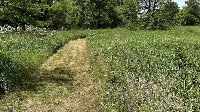 South Branch River Walk Trail - Branchburg, NJ