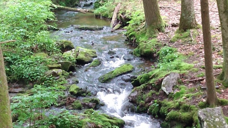 Tillman Ravine - Branchville, NJ