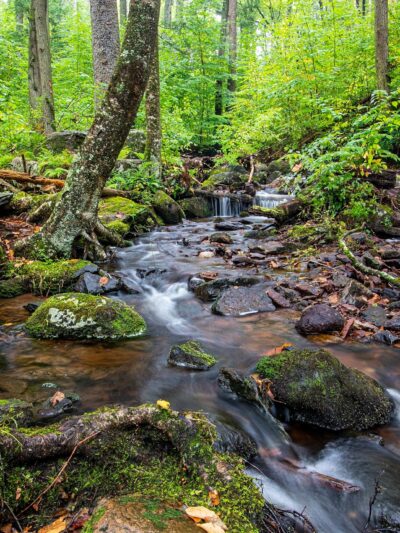 Tillman Ravine - Branchville, NJ