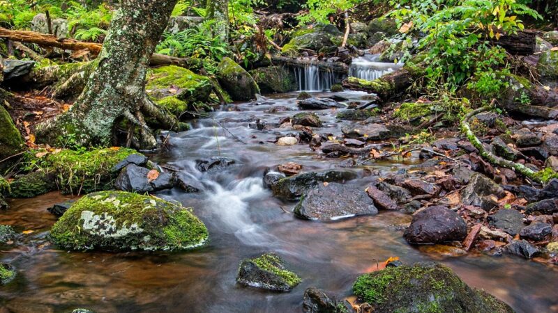 Tillman Ravine - Branchville, NJ