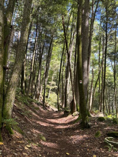 Tillman Ravine - Branchville, NJ