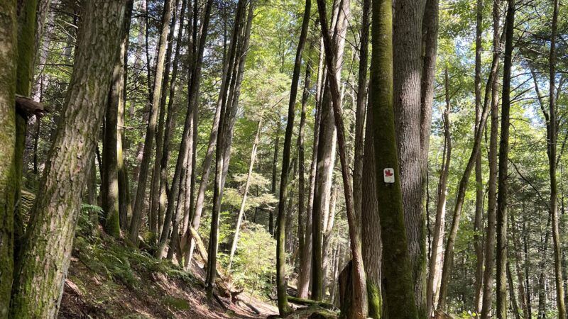 Tillman Ravine - Branchville, NJ