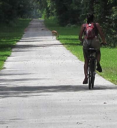 Greenway Trail - Branford, FL
