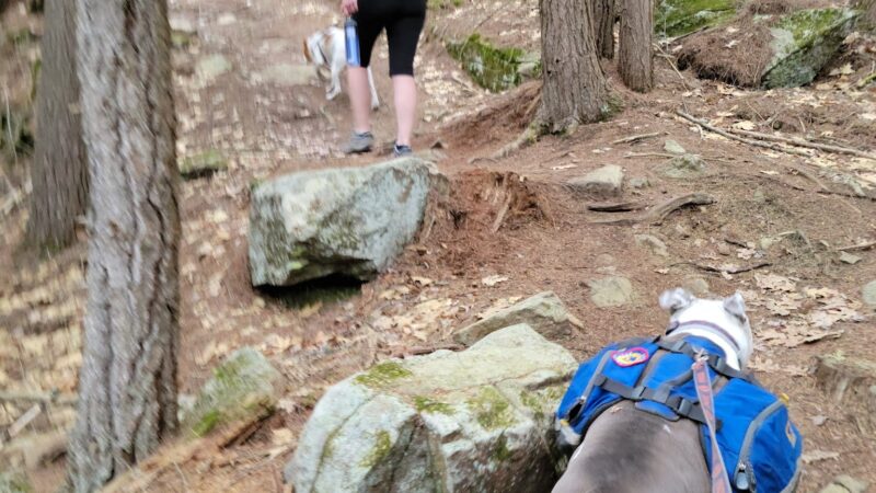 Brant Lake Bike Park - Brant Lake, NY