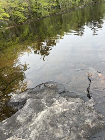 Pemaquid Pond Preserve - Bremen, ME