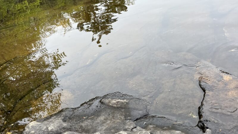 Pemaquid Pond Preserve - Bremen, ME