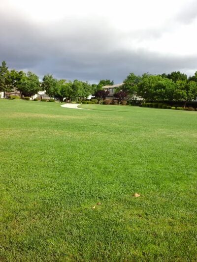 King Park - Brentwood, CA