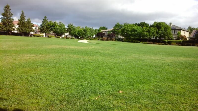 King Park - Brentwood, CA