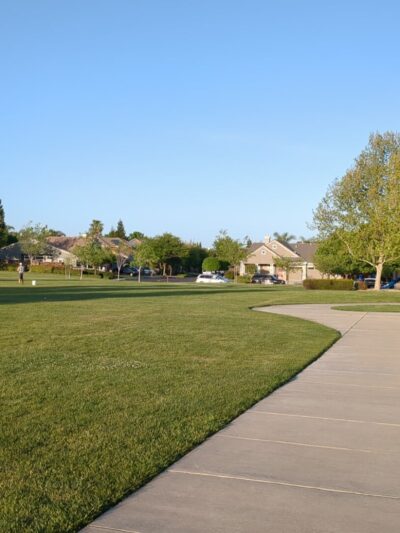 Kings Dog Park - Brentwood, CA