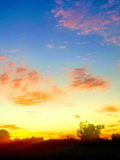 Marsh Creek Trail Head - Brentwood, CA