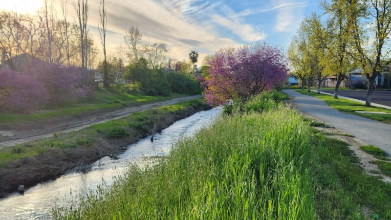 Marsh Creek Trail Head - Brentwood, CA