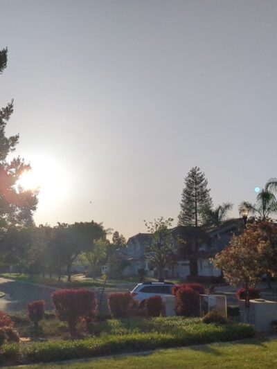 Miwok Park - Brentwood, CA