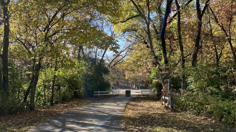 Hanley Park - Brentwood, MO