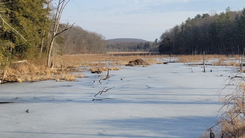 Maybrook Trailway Tonetta Lake - Brewster, NY