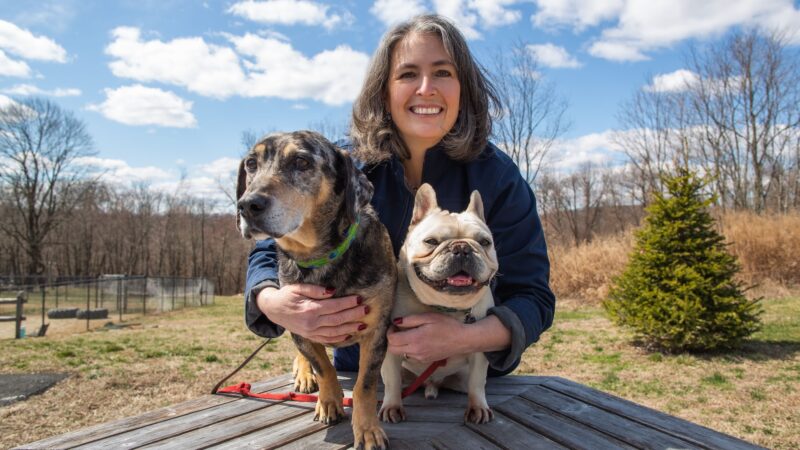 Roosevelt Veterinary Center - Brewster, NY