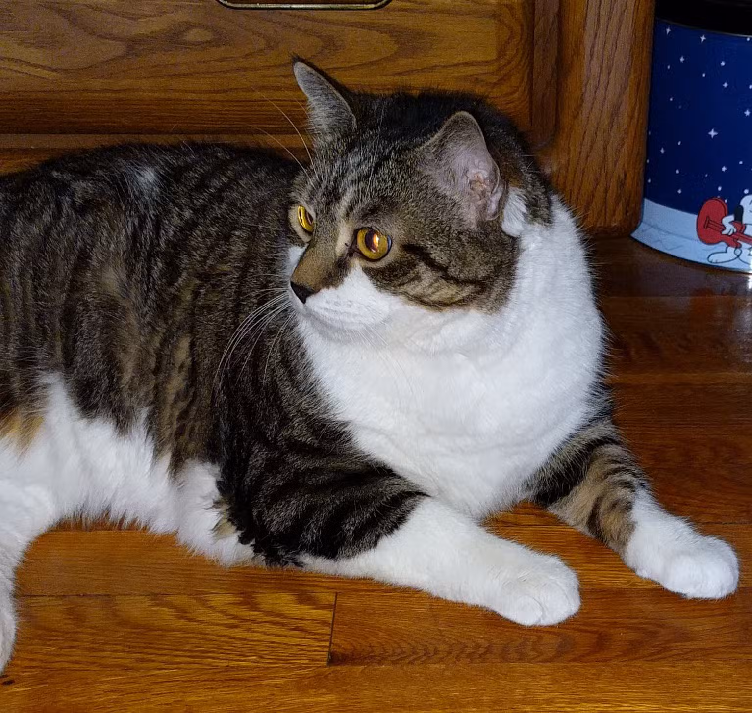 Roosevelt Veterinary Center - Brewster, NY