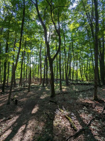 Pocantico Park - Briarcliff Manor, NY