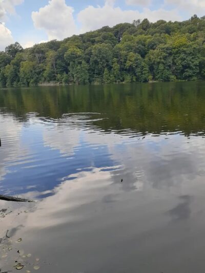 Pocantico Park - Briarcliff Manor, NY