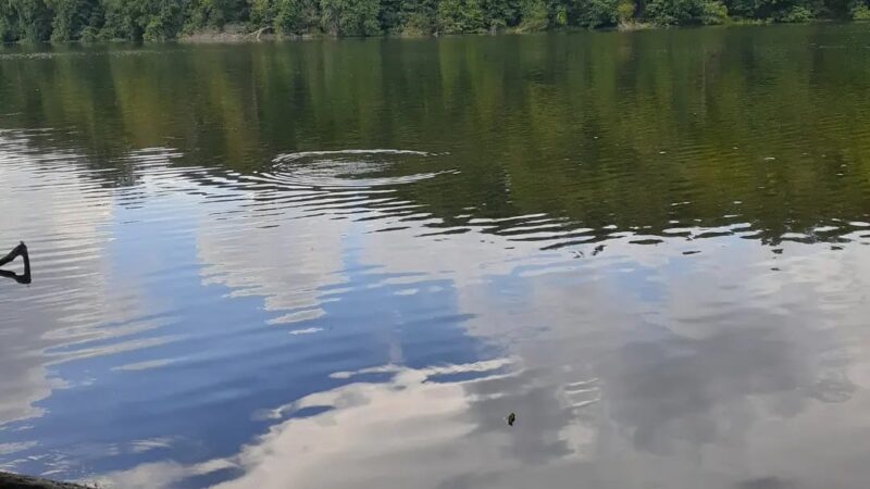 Pocantico Park - Briarcliff Manor, NY