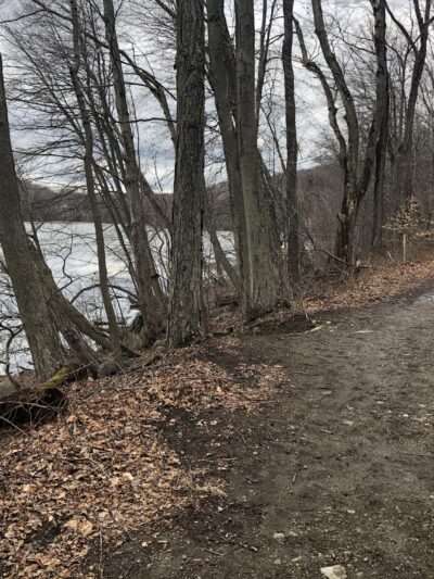 Pocantico Park - Briarcliff Manor, NY