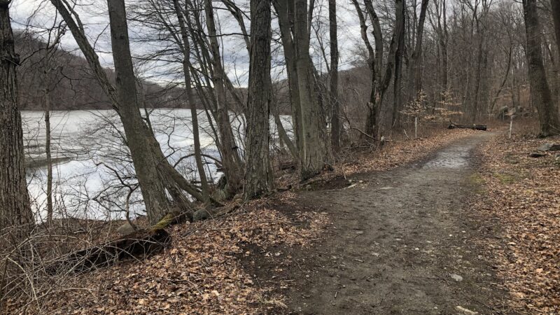 Pocantico Park - Briarcliff Manor, NY