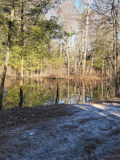 Airport Trail - Brick Township, NJ