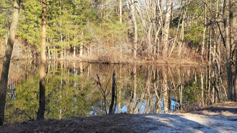 Airport Trail - Brick Township, NJ