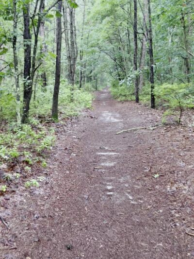 Airport Trail - Brick Township, NJ