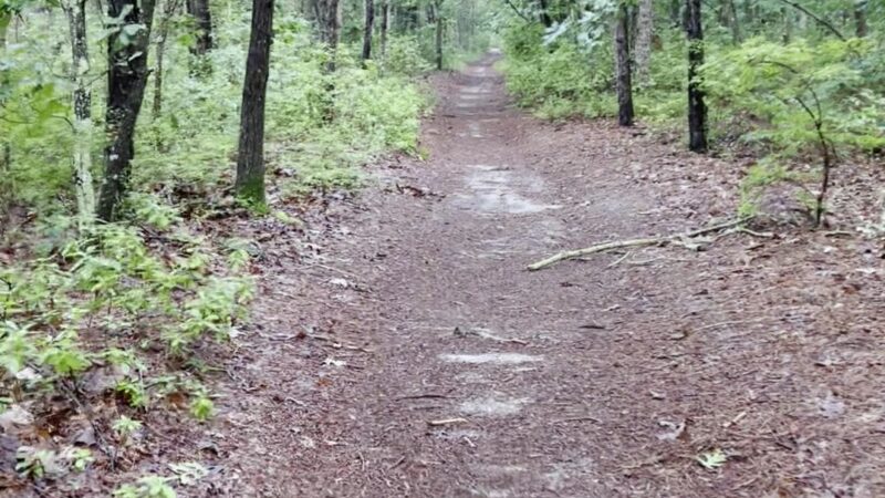 Airport Trail - Brick Township, NJ