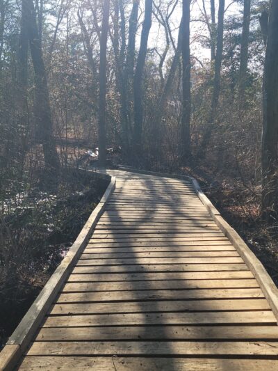 Airport Trail - Brick Township, NJ