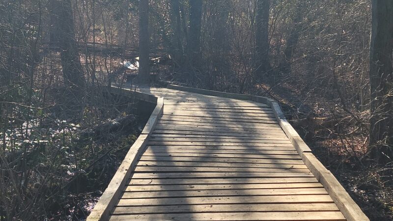 Airport Trail - Brick Township, NJ