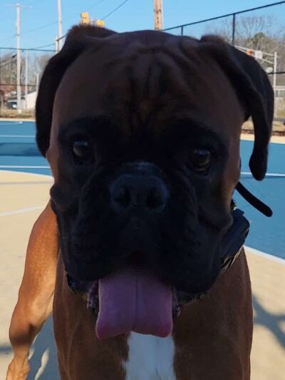 Bernard J. Cooke Memorial - Brick Township, NJ