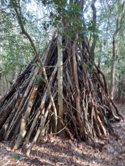 Edwin B. Forsythe National Wildlife Refuge - Brick Township, NJ