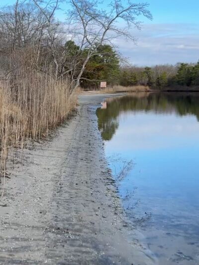 Edwin B. Forsythe National Wildlife Refuge - Brick Township, NJ