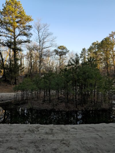 Edwin B. Forsythe National Wildlife Refuge - Brick Township, NJ