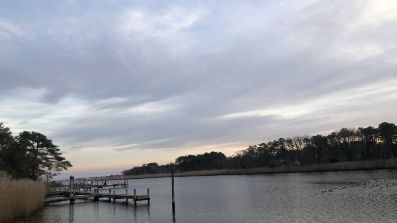 Mallard Point Park - Brick Township, NJ
