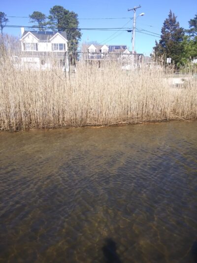 Mallard Point Park - Brick Township, NJ