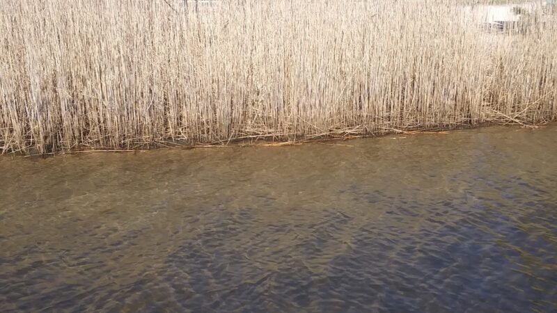 Mallard Point Park - Brick Township, NJ
