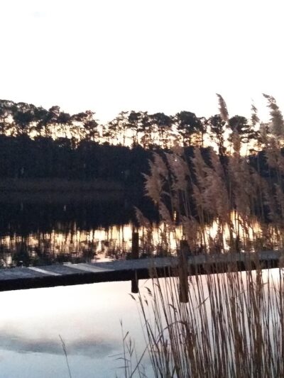 Mallard Point Park - Brick Township, NJ