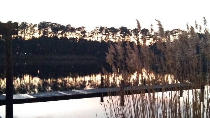 Mallard Point Park - Brick Township, NJ