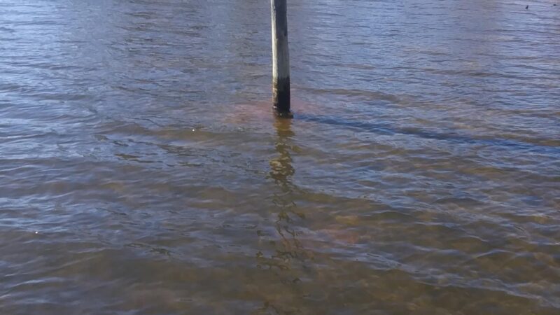 Mallard Point Park - Brick Township, NJ